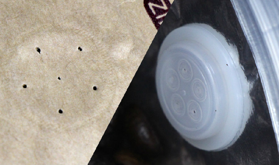 Ca Pem Hauv Pem Hauv Ntej Pua Hniav nrog Vale