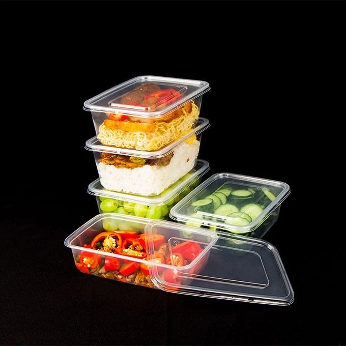 Disposable Plastic Food Container