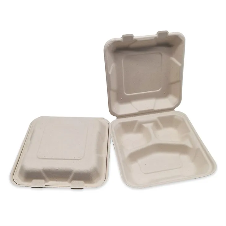 Biodegradable Lunch Box