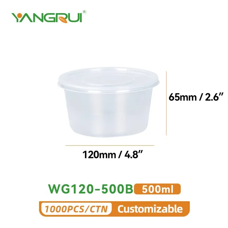 Plastic Disposable Bowl 17oz