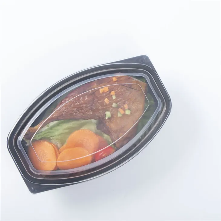 Disposable Take Away Food Containers