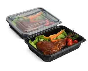 Microwave Safe Disposable Containers