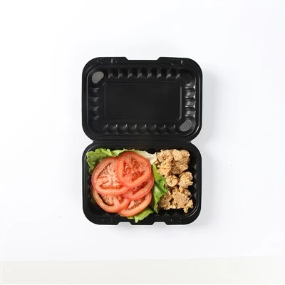 Bento Boxes Disposable