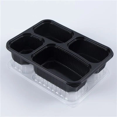 Siv tau Japanese Bento Box