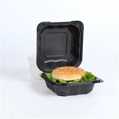 Eco Friendly Disposable Bento Box