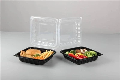 Takeaway Plastic Food Container
