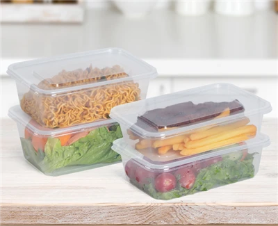 Transparent Food Container