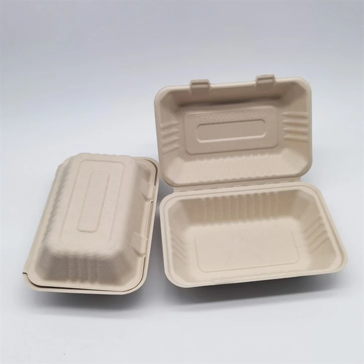Qab Zib Bagasse Biodegradable Take Away Food Containers