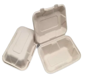 Mus Containers Disposable Bagasse